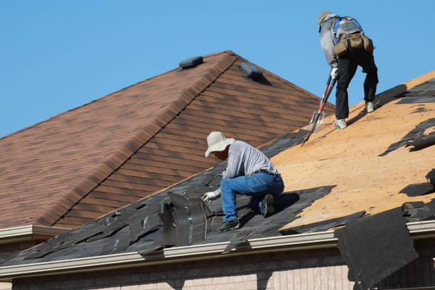 Best Skylight Installation and Repair  in Auxvasse, MO