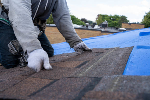 Best Commercial Roofing Services  in Auxvasse, MO