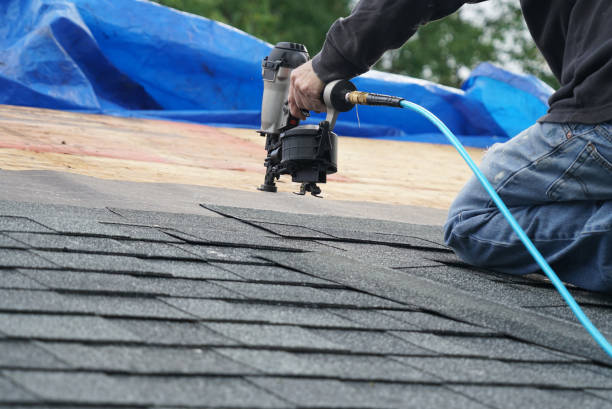 Best Roof Ventilation Installation  in Auxvasse, MO